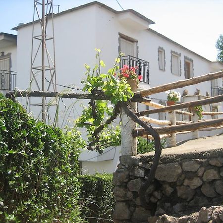 Alojamiento Rural Mirador Del Avellano Alpujarra De La Sierra Exterior foto